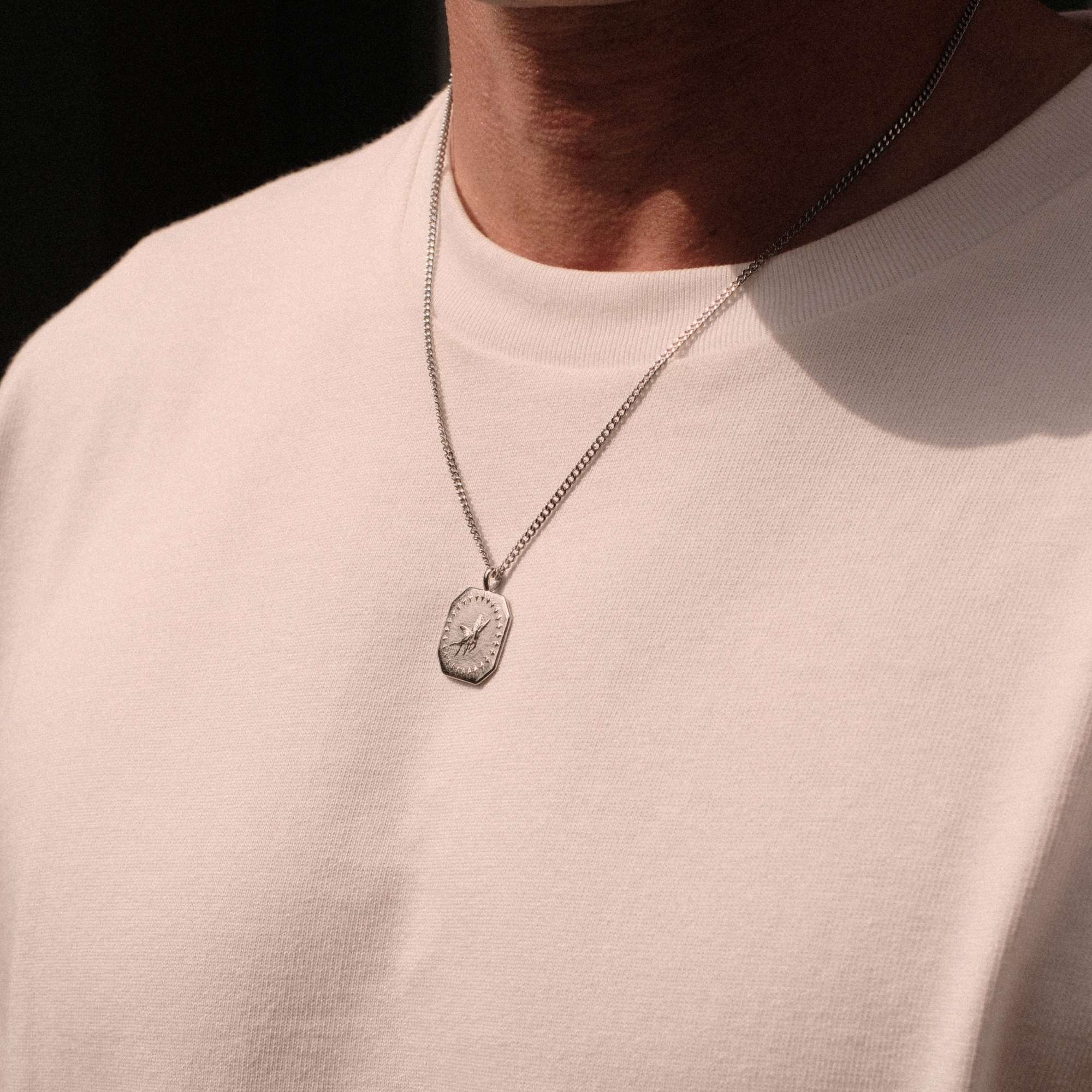 K12 - SILVER AVIAN CHAIN